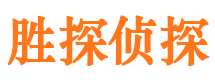 嵩明找人公司